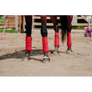 Ventas de polo EQUITHÈME Roja