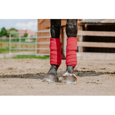 Ventas de polo EQUITHÈME Roja Ventas de polo EQUITHÈME Roja