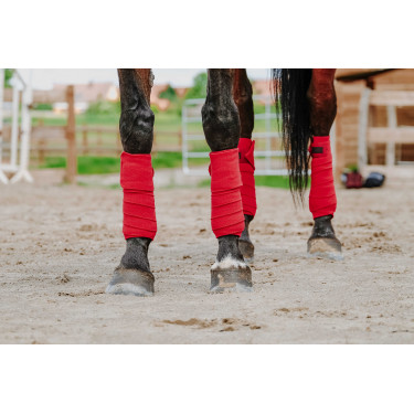Ventas de polo EQUITHÈME Roja Ventas de polo EQUITHÈME Roja