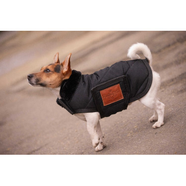 Manta para perro PADDOCK - Diagonal