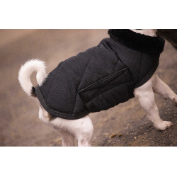 Manta para perro PADDOCK - Diagonal Negro Manta para perro PADDOCK - Diagonal Negro