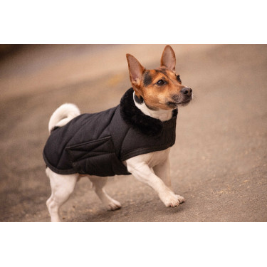 Manta para perro PADDOCK - Diagonal Negro Manta para perro PADDOCK - Diagonal Negro