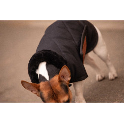 Manta para perro PADDOCK - Diagonal Negro Manta para perro PADDOCK - Diagonal Negro