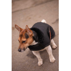 Manta para perro PADDOCK - Diagonal Negro Manta para perro PADDOCK - Diagonal Negro