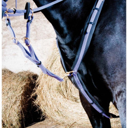 Pechopetral purasangre Biotack T de T Púrpura Violeta