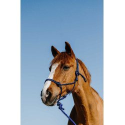 Licol éthologique + longe NORTON - Duo Azúl / negro Licol éthologique + longe NORTON - Duo Azúl / negro