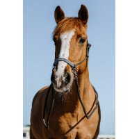 Licol éthologiques + rênes NORTON Fancy Gris