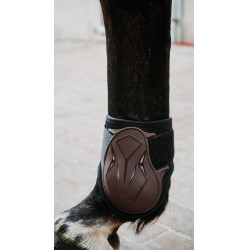 Protège-boulets NORTON - XTR Flex Castaño Marrón