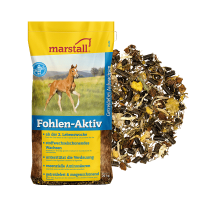 Fohlen-Aktiv Marstall 20kg