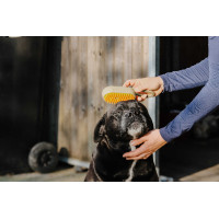 Cuchilla con mango Hippotonic Vapeur Gris pardo Marrón