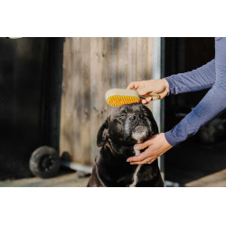 Cuchilla con mango Hippotonic Vapeur Gris pardo Marrón