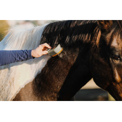 Cuchilla con mango Hippotonic Vapeur Gris pardo Marrón