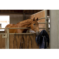 Soporte para bridas Hippotonic de 6 plazas, con ganchos Negro Soporte para bridas Hippotonic de 6 plazas, con ganchos Negro