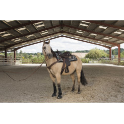 Silla WESTRIDE by Franck Perret Arvada Chocolate Marrón