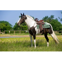 Silla western Randol's Topeka