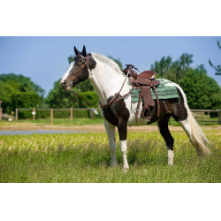 Silla western Randol's Topeka
