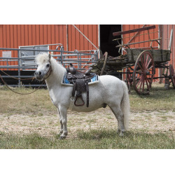 Silla western Randol's Topeka Silla western Randol's Topeka