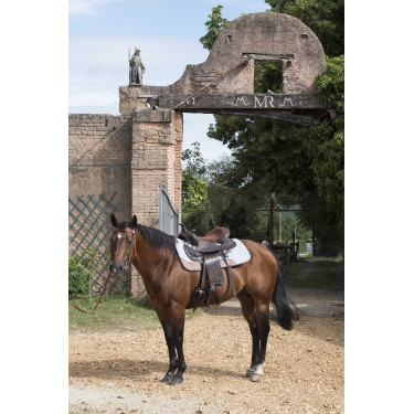 Horse pad Randol's de fieltro 16 mm Horse pad Randol's de fieltro 16 mm