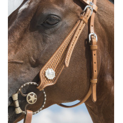 Cabezada de montar Westride by Franck Perret Aurora Avellana Marrón