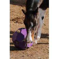 Pelota anti-glotón para heno HIPPOTONIC Púrpura Violeta Pelota anti-glotón para heno HIPPOTONIC Púrpura Violeta