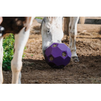 Pelota anti-glotón para heno HIPPOTONIC Púrpura Violeta Pelota anti-glotón para heno HIPPOTONIC Púrpura Violeta