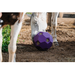 Pelota anti-glotón para heno HIPPOTONIC Púrpura Violeta