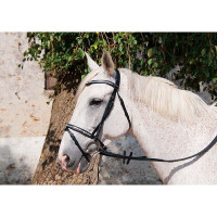 Cabezada cuero Pissarot T de T Havana oscuro Marrón Cabezada cuero Pissarot T de T Havana oscuro Marrón