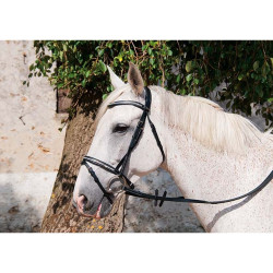 Cabezada cuero Pissarot T de T Havana oscuro