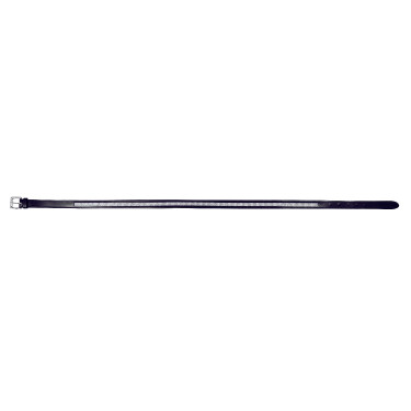 Cintura Riding World Diamond Cintura Riding World Diamond