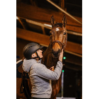 Casco EQUITHEME Agris visera ancha Negro plateado