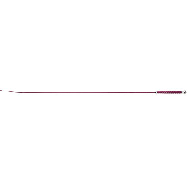 Fusta de doma Whip & Go Points Fusta de doma Whip & Go Points