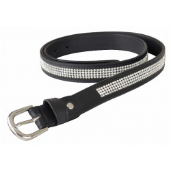 Strassriem T de T