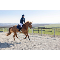 Chaqueta acolchada Pro Series Diagonal Azul marino