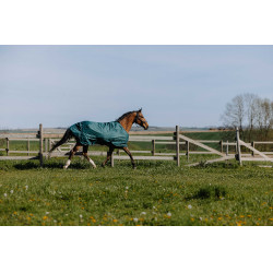 Cobertura Equithème TYREX 600D Verde