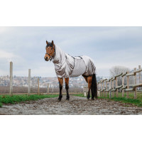 Camisa anti-eczema Riding World Gris Camisa anti-eczema Riding World Gris