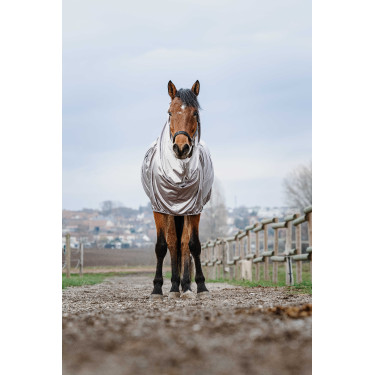 Camisa anti-eczema Riding World Camisa anti-eczema Riding World