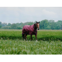 Manta Equithème TYREX 1200D High Neck Burdeos Manta Equithème TYREX 1200D High Neck Burdeos