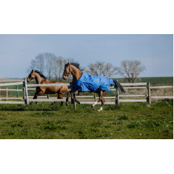 Cobertura Equithème Tyrex Aisance 1200D Azul real Cobertura Equithème Tyrex Aisance 1200D Azul real