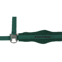 Cabezada de nylon Equithème 3D Mesh Azul real