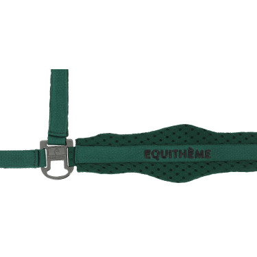 Cabezada de nylon Equithème 3D Mesh Verde