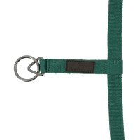 Cabezada de nylon Equithème 3D Mesh Azul real
