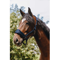 Cabezada de nylon Equithème 3D Mesh Marino Azul marino