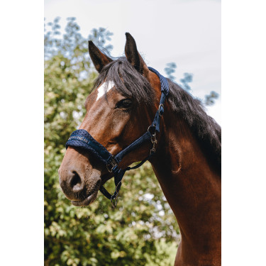 Cabezada de nylon Equithème 3D Mesh Marino Azul marino
