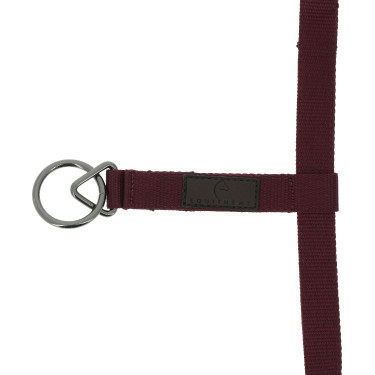 Cabezada de nylon Equithème 3D Mesh Burdeos