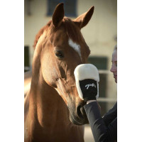 Guante de limpieza Pénélope Negro