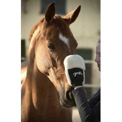 Guante de limpieza Pénélope Negro