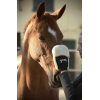 Guante de limpieza Pénélope Negro