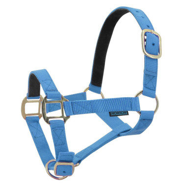 Cabezada de nylon forrada de cuero Cielo azul Cabezada de nylon forrada de cuero Cielo azul