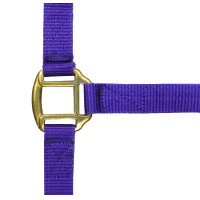 Cabezada de nylon forrada de cuero Negro