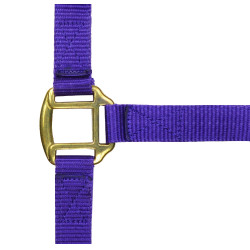 Cabezada de nylon forrada de cuero Púrpura Violeta Cabezada de nylon forrada de cuero Púrpura Violeta